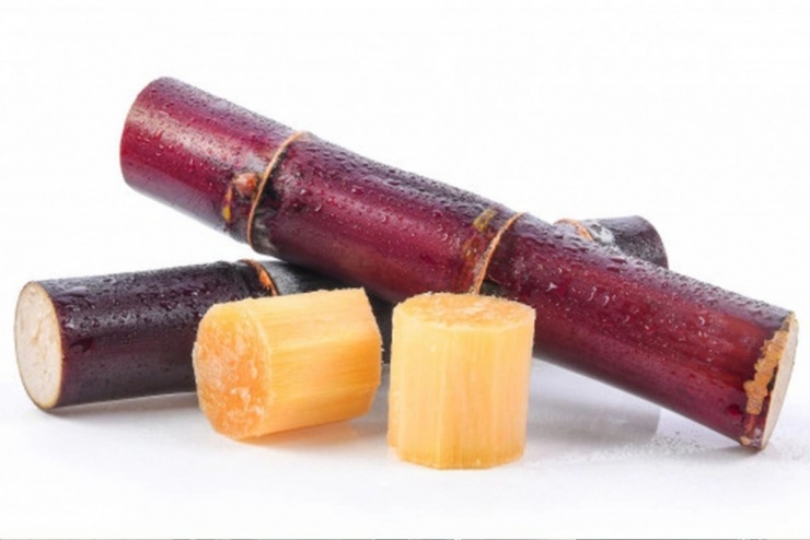 Mía là loại cây chứa hàm lượng đường tự nhiên, khoáng chất và vitamin thiết yếu. (Ảnh: Thanh Niên)