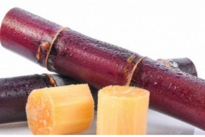 Loại cây ngọt như đường, giúp dưỡng gan bổ thận, một cây cả nhà ăn