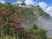 Say đắm sắc hoa mùa xuân giữa đại ngàn Bạch Mã