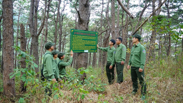 Lực lượng bảo vệ rừng Gia Lai tăng cường tuần tra các khu vực trọng điểm, vùng giáp ranh, khu vực có nguy cơ cao xảy ra phá rừng trong dịp Tết Nguyên đán