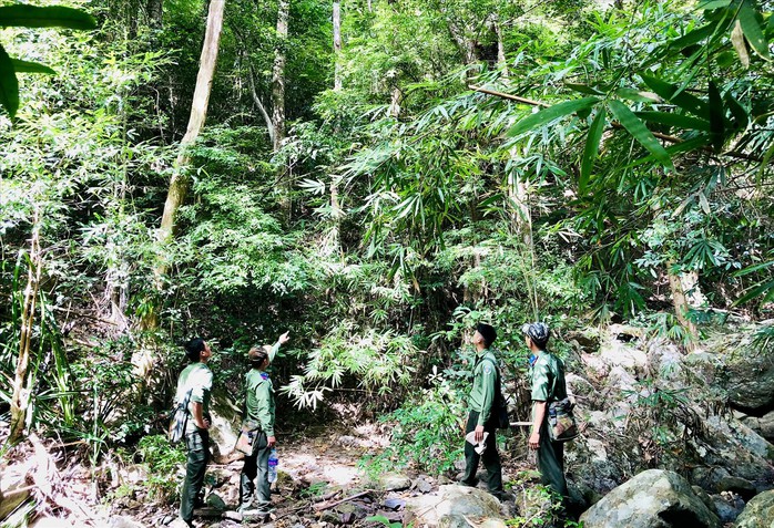 Lực lượng quản lý, bảo vệ rừng Gia Lai băng rừng, lội suối tuần tra, kiểm soát để bảo vệ rừng.