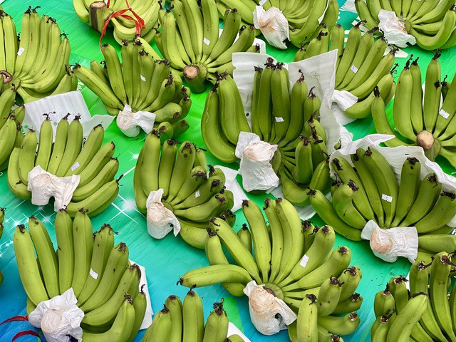 Giá chuối xanh có giá dao động từ tiền trăm cho đến tiền triệu đồng/nải, những nải quả lẻ giá cao hơn so với quả chẵn.