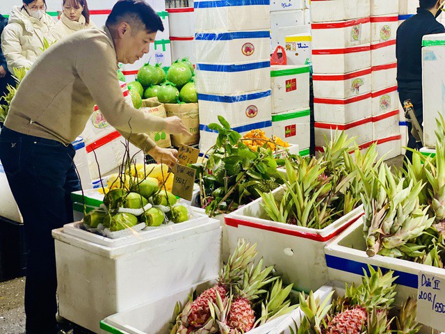 Dứa đỏ được nhiều người ưa chuộng mua trong dịp Tết 2026 vì màu sắc bắt mắt mang lại điều may mắn.