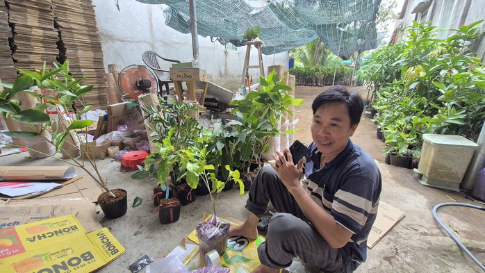 Cây giống bán mạnh khi ra giêng