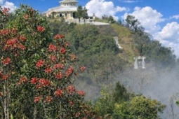 Say đắm sắc hoa mùa xuân giữa đại ngàn Bạch Mã