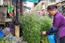 Giữ hương Tết xưa bằng nồi nước mùi già đầu năm, giá chỉ từ 20.000 đồng/bó