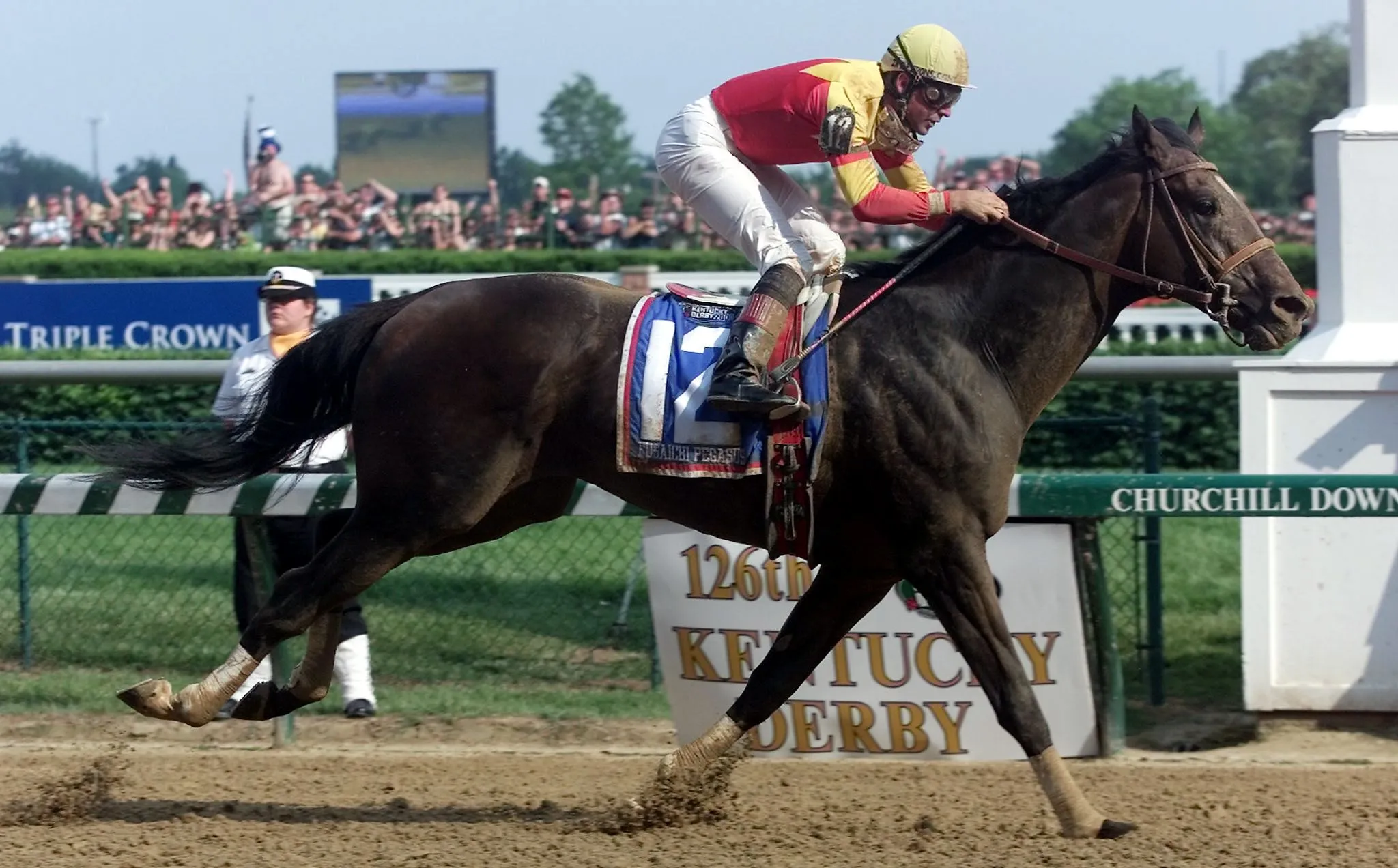 Sau khi vô địch giải đua ngựa Kentucky Derby năm 2000, chú ngựa này đã được bán với giá lên tới 70 triệu USD.