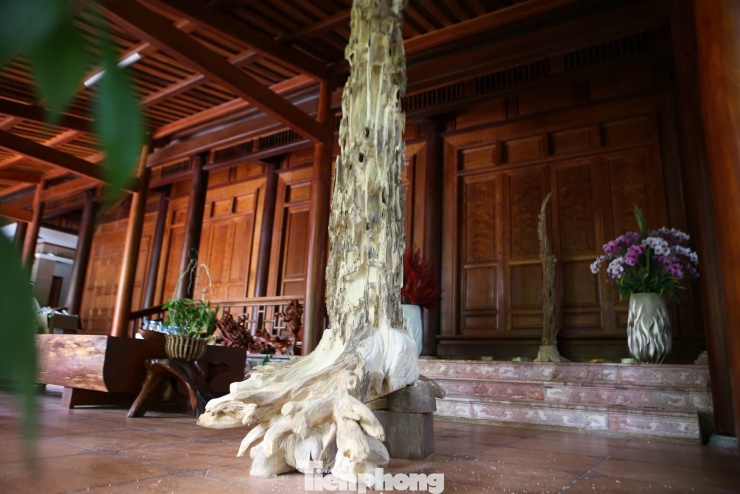 Những gốc trầm cổ thụ sau khi được chế tác bán giá cao, có gốc tiền tỷ.