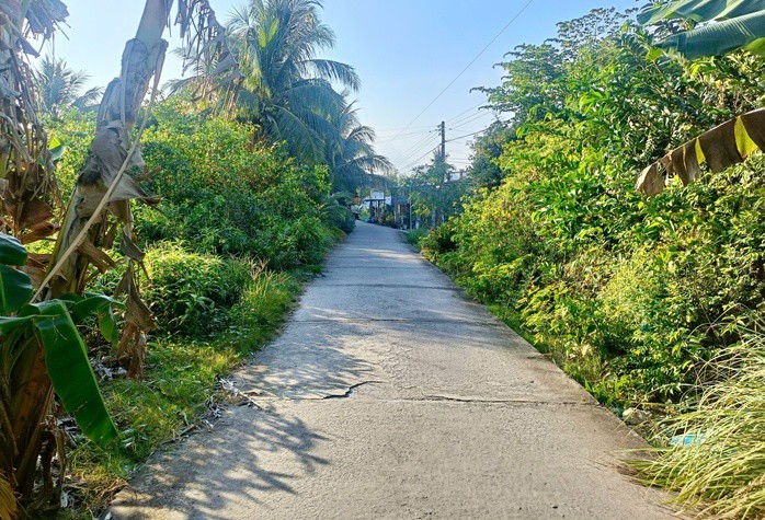Con đường dẫn vào ngôi nhà của bà H.T.L. Ảnh: Phúc Nguyên