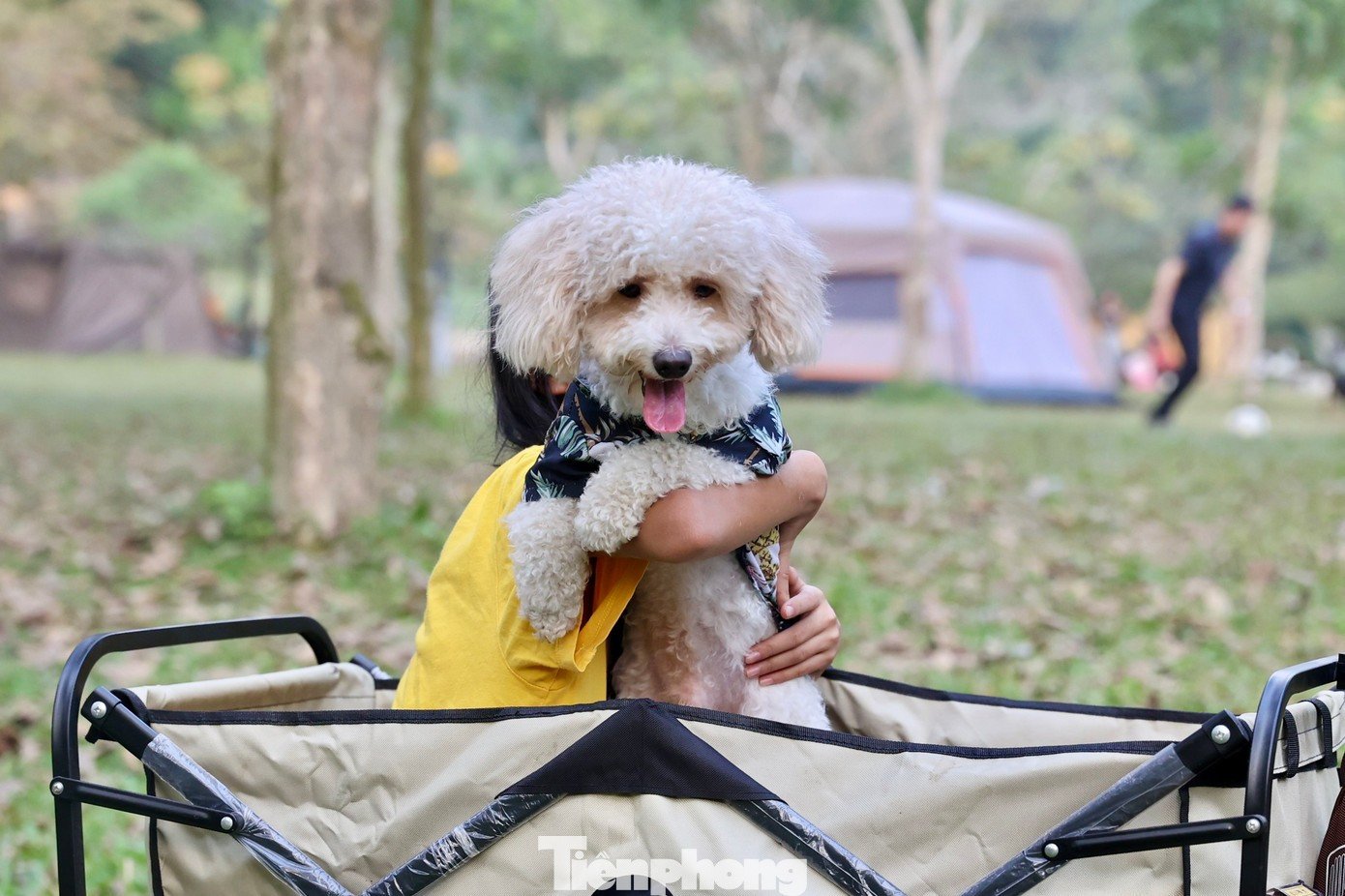 Buổi chiều, ánh nắng phản chiếu trên mặt hồ tạo khung cảnh thích hợp chụp ảnh. Một số hoạt động phổ biến gồm chèo SUP, câu cá, nướng BBQ. Dịp Tết, khu vực này đông nhất vào mùng 2-4 Tết.