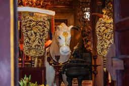 Ngôi đền nghìn năm tuổi thờ 'ngựa thần', nổi tiếng linh thiêng ở Hà Nội