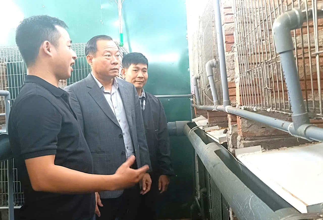 Theo anh Nguyễn Hữu Quân, mô hình nuôi chồn hương được đánh giá cao nhờ đặc tính&nbsp;ít dịch bệnh, dễ chăm sóc và mang lại giá trị kinh tế vượt trội so với chăn nuôi truyền thống. Ảnh: PV