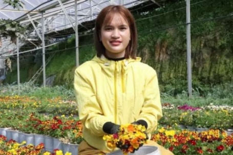 Trồng hoa viola tên nghe lạ hoắc, làm đẹp đồ ăn bàn tiệc, nông dân Lâm Đồng cứ bán 1kg cầm về non 1 triệu