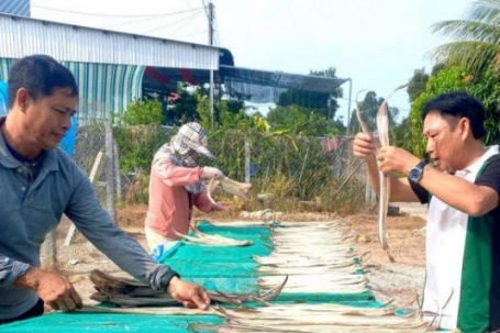 Loại cá xưa bị chê "lên bờ xuống ruộng", dân ghẻ lạnh, nay hóa thành đặc sản khô, bán Tết giá triệu/ký vẫn hút hàng