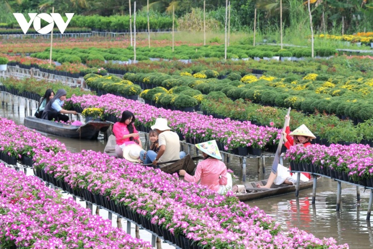 Làng hoa Sa Đéc (tỉnh Đồng Tháp) được mệnh danh là "vương quốc" hoa kiểng lớn nhất miền Tây 