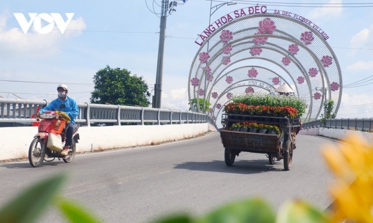 Đường vào làng hoa Sa Đéc