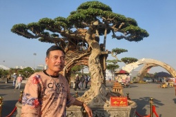 Ngắm cây sanh cổ từng được trả 100 lượng vàng, nhưng chủ nhân ở Hưng Yên không bán