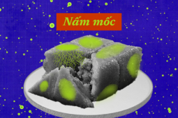 Đồ ăn mốc, có nên cắt bỏ đi để ăn tiếp?