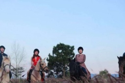 Bán xe ô tô mang ngựa về nuôi, thanh niên 9X gây dựng đàn vật nuôi tiền tỷ ở một phường mới, tỉnh Lâm Đồng