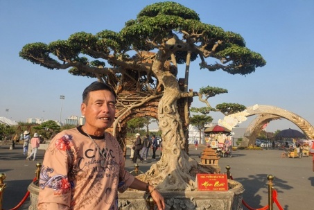 Ngắm cây sanh cổ từng được trả 100 lượng vàng, nhưng chủ nhân ở Hưng Yên không bán