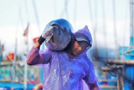 Tận mắt chứng kiến loài cá khổng lồ, mỗi con nặng hàng chục ký ở tỉnh Bình Định cũ, nay là Gia Lai