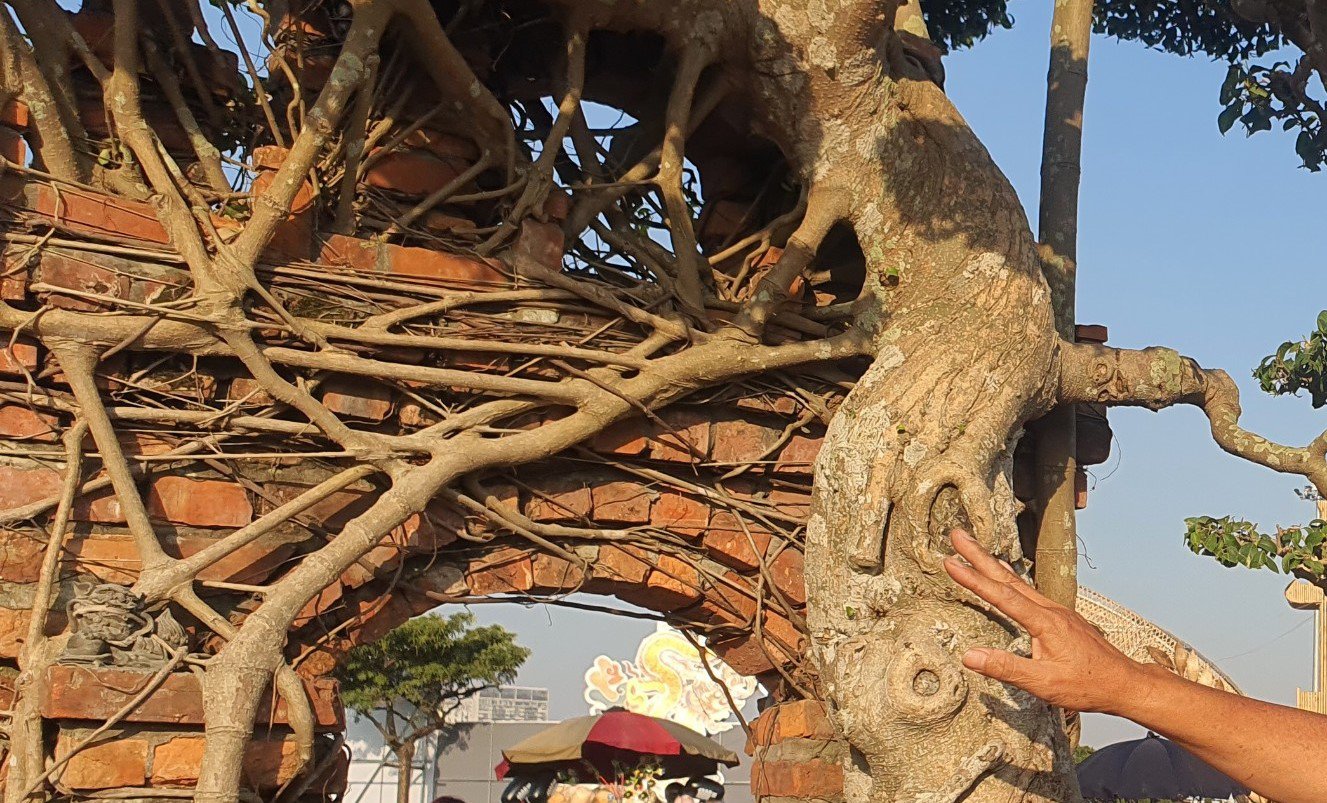 Ông Hoà cho biết, năm 2004, lần đầu tiên nhìn thấy tác phẩm này ông đã rất thích và ngỏ ý hỏi mua nhưng phải mất gần 10 năm thuyết phục, chủ nhân của tác phẩm này bán cho ông.&nbsp;(Ảnh: Hồng Cảnh).