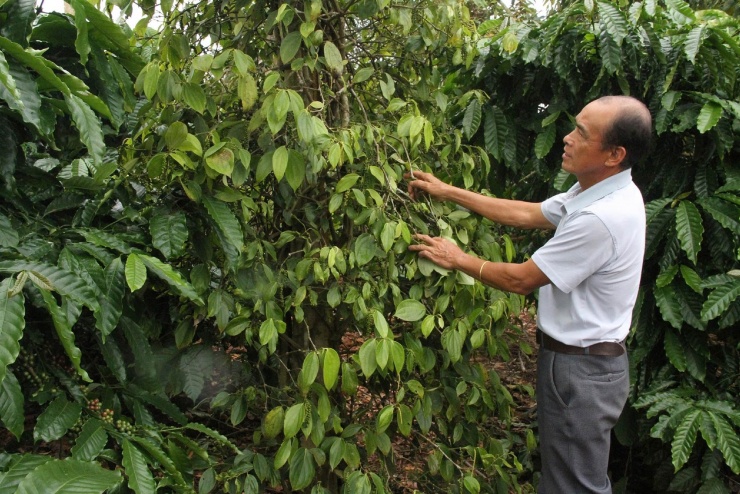 Ông Mông Thanh Hòn, trưởng thôn Tam Điền là một tỷ phú ở Quảng Hòa