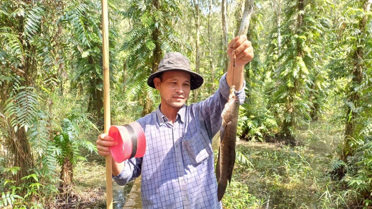 Đến đây, du khách sẽ được cùng người dân đi đặt trúm lươn, câu cá đồng và thưởng thức các món ăn đặc sản dưới tán rừng U Minh Hạ huyền thoại.