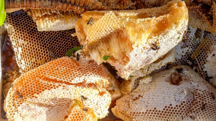 Trước đó, Bộ Văn hóa - Thể thao và Du lịch đã công nhận Nghề gác kèo ong là Di sản Văn hóa phi vật thể quốc gia. Bên cạnh đó, mật ong rừng U Minh cũng được Hội đồng xác lập kỷ lục Việt Nam công nhận tốp 100 đặc sản quà tặng Việt Nam.