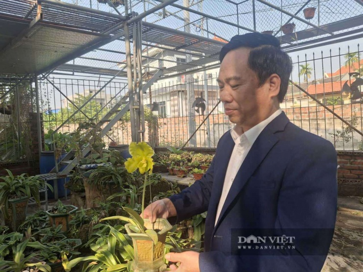 Hình ảnh cây lan rừng nhỏ nhắn nhưng đã mang lại giá trị kinh tế lớn cho anh Huy. Ảnh: Thu Thuỷ