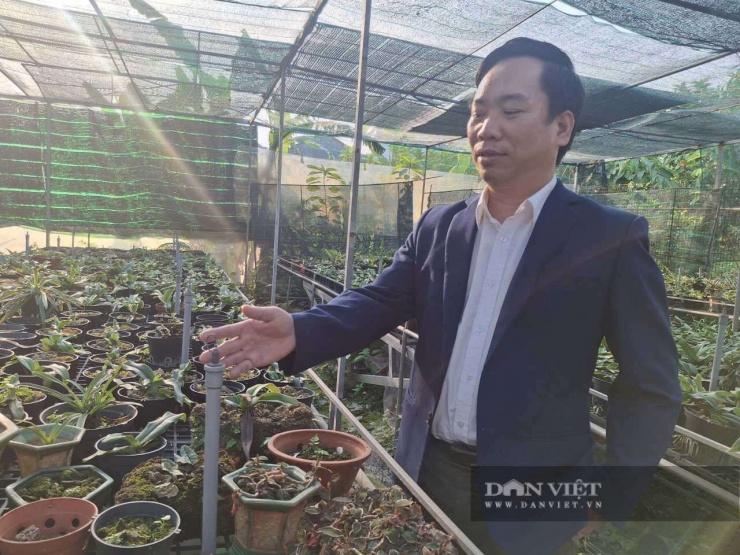 Anh Huy sử dụng công nghệ tưới nước tự động, kết nối với hệ thống cảm biến thông minh để chăm sóc lan rừng. Ảnh: Thu Thuỷ