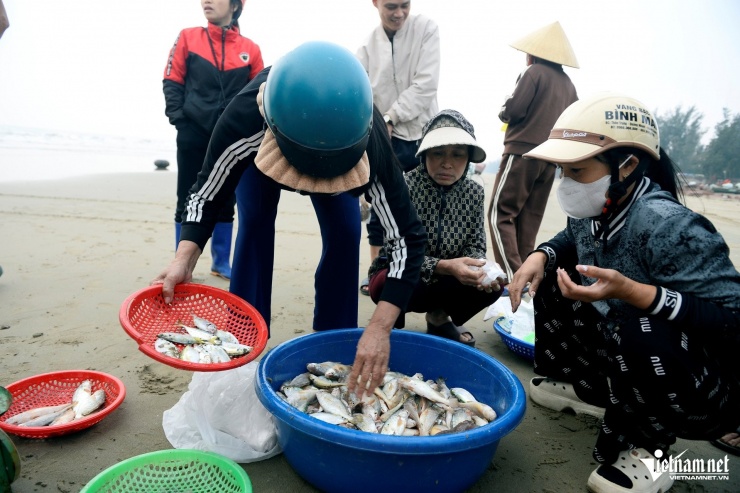 Các loại hải sản biển tăng giá hơn so với mọi năm. Ảnh: Lê Dương