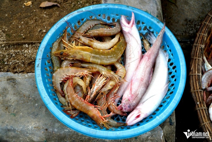 Cá khoai khan hiếm có giá cả triệu đồng/kg. Ảnh: Lê Dương