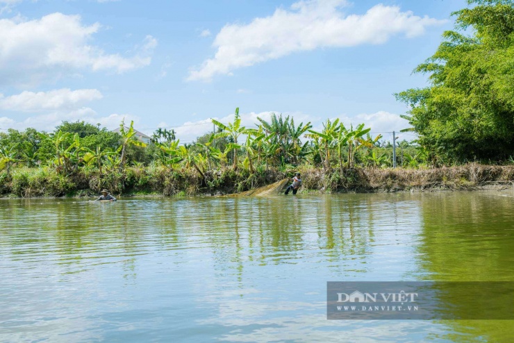 Nông dân xã Hòa Phú, tỉnh Đắk Lắk kéo lưới bắt cá lăng đuôi đỏ bán dịp Tết Nguyên đán.