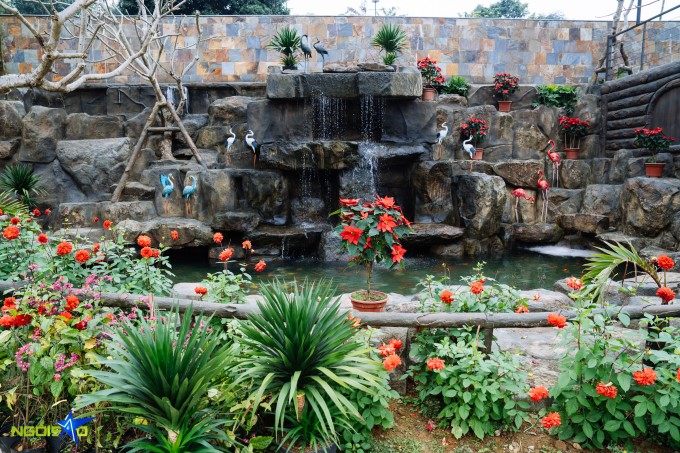 Ao cá, vườn hoa trong biệt phủ 10.000 m2 của Phạm Phương Thảo - 4