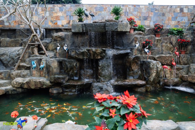 Ao cá, vườn hoa trong biệt phủ 10.000 m2 của Phạm Phương Thảo - 2