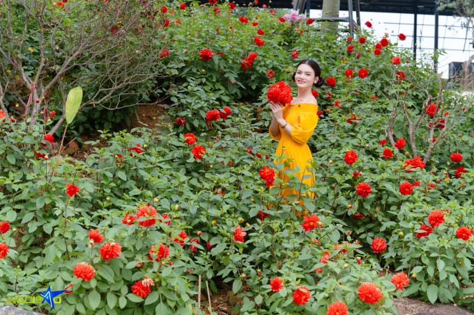 Ao cá, vườn hoa trong biệt phủ 10.000 m2 của Phạm Phương Thảo - 13