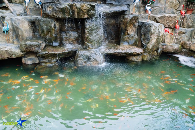 Ao cá, vườn hoa trong biệt phủ 10.000 m2 của Phạm Phương Thảo - 7