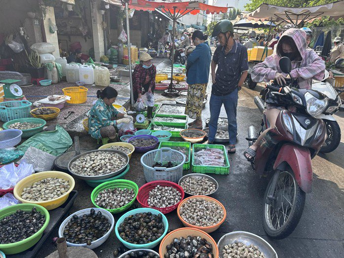 Các loại ốc bán tại chợ Thị Nghè (TPHCM) thu hút khách mua