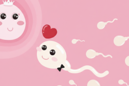 Có nên thụ thai ngay những ngày đầu năm? Góc nhìn chuyên gia