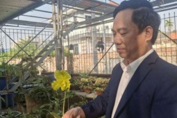 Trồng thứ cây gì mà "cả thế giới" săn lùng, trai Hải Phòng biến thú vui thành nghề tiền tỷ