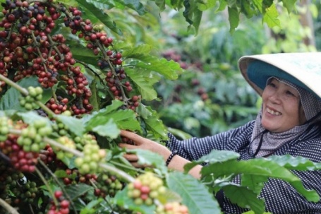 Làng “tỷ phú” giữa lòng cao nguyên