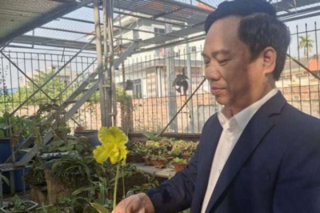 Trồng thứ cây gì mà "cả thế giới" săn lùng, trai Hải Phòng biến thú vui thành nghề tiền tỷ