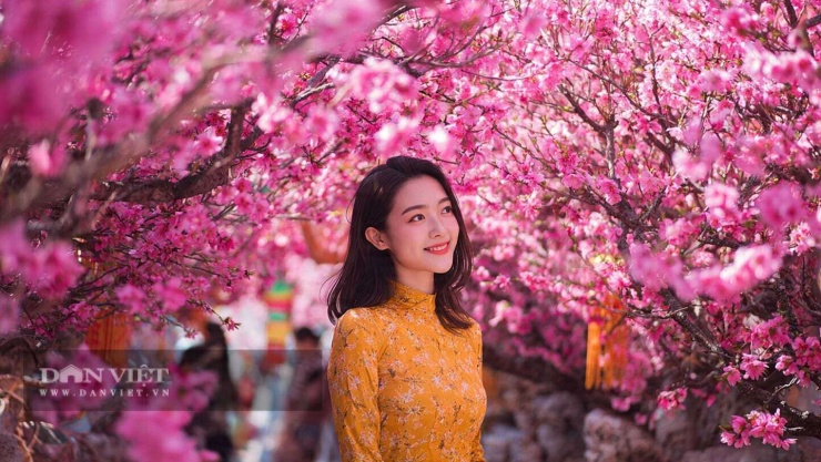 Con số may mắn hôm nay 22/2 của con giáp tuổi Thìn: 2 và 5