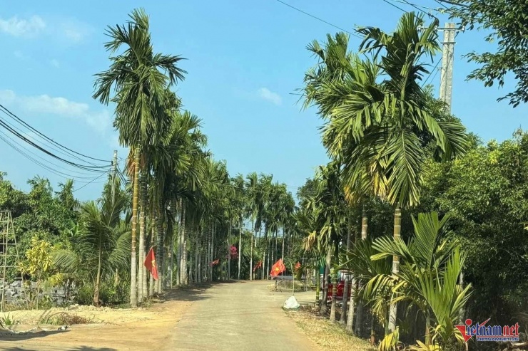 Con đường dẫn vào thôn Đồi Mây rất khang trang, sạch sẽ. Ảnh: Hải Dương