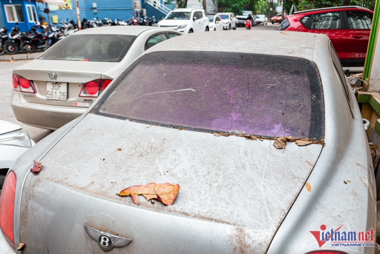 Kính sau và cửa khoang hành lý đều phủ kín bụi bẩn, lá cây, không thể quan sát được bên trong khoang nội thất.