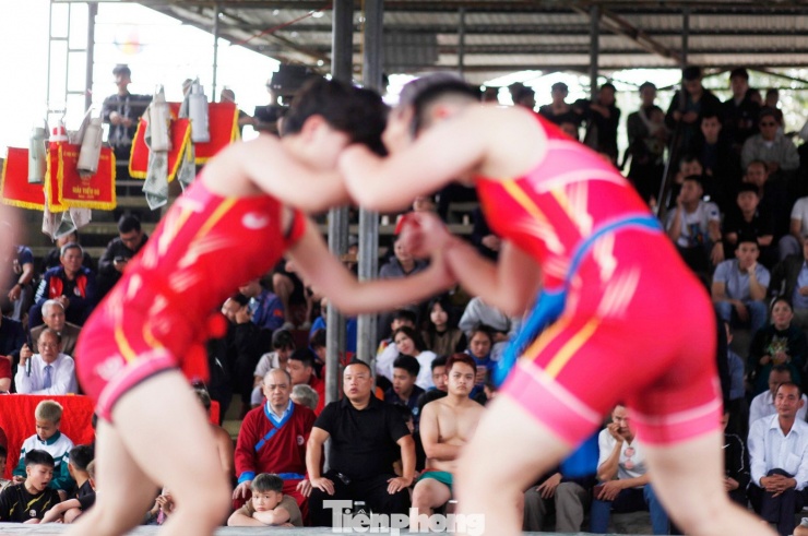 Đô vật nam theo dõi đô vật nữ thi đấu.