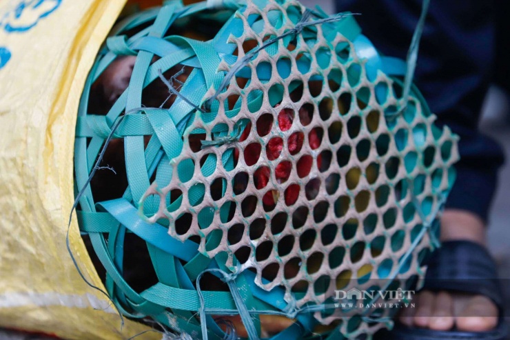 Từ vali quần áo đến những thùng xốp lớn đựng thực phẩm, quà quê, bánh chưng, gà, rau củ...