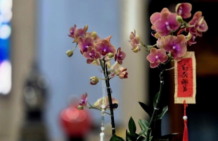 Điều khiến người ta nhớ nhất sau mỗi mùa Tết thường chỉ là những khoảnh khắc rất bình dị. Ảnh: Vũ Điệp.