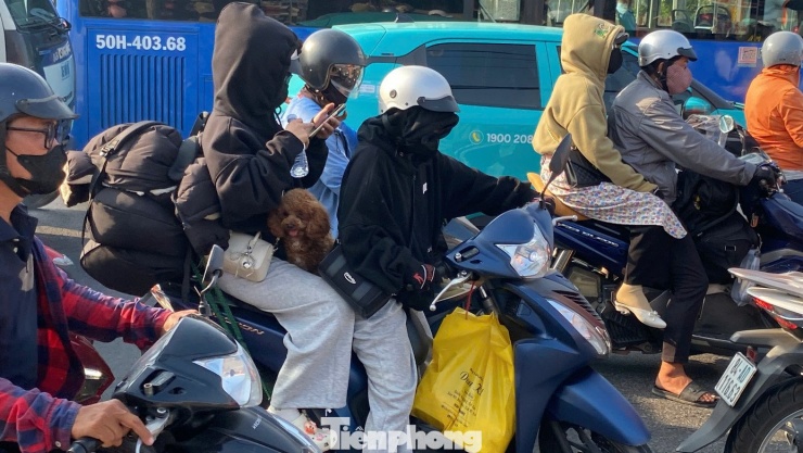 Người dân mang theo cả thú cưng quay trở lại thành phố.